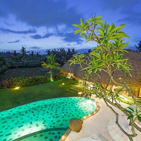 Villa Omah Padi Убуд Екстериор снимка